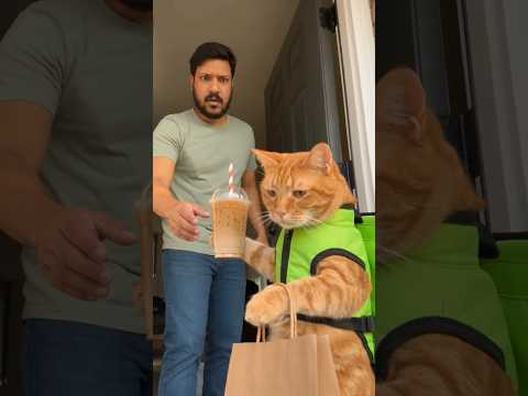 Don’t judge a book by its cover… or a cat by its coffee. 🐱 ☕️