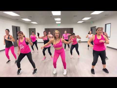 Al Ritmo del Tigre @LosDinosdeChile