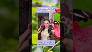 Download lagu Aqeela Calista & Valery Chinese New Year Edition #aqeelacalista#asmaragenz#btsshorts#viralshort#v... mp3