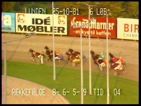 Dansk Opdrætningsløb 1981 Florican Dirt