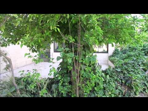 CHODESH 2014 - Kvutzá Shnat