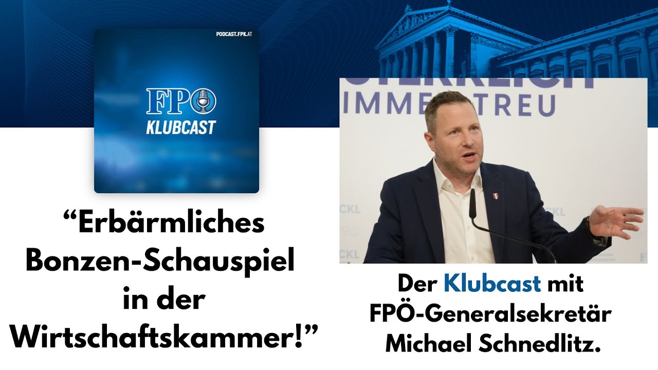 "Erbärmliches Bonzen-Schauspiel in der Wirtschaftskammer!"