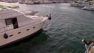 Download lagu Bir beyaz orkide 💔_hazal _Cagatay_Turkish mix🌼 mp3