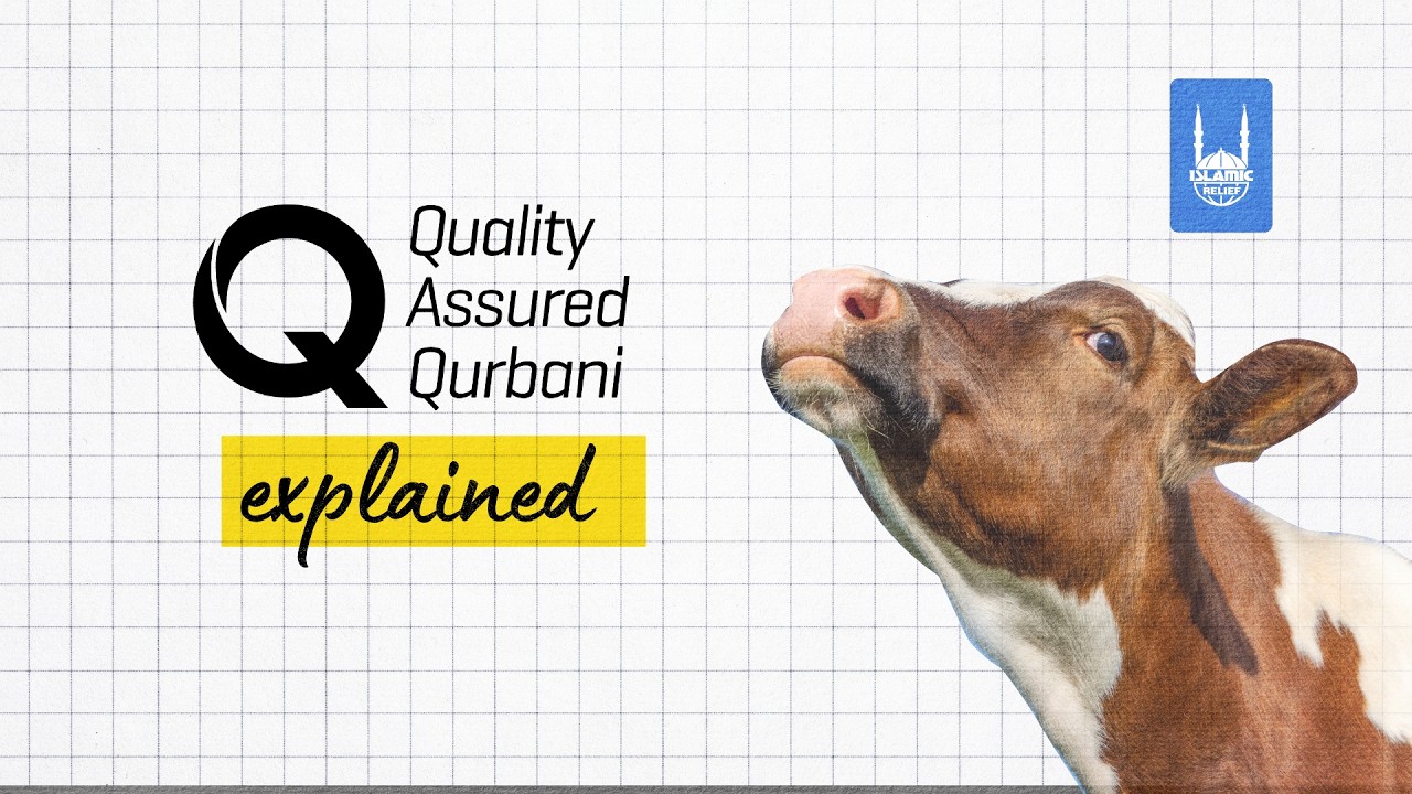 Quality Assured Qurbani | Islamic Relief UK