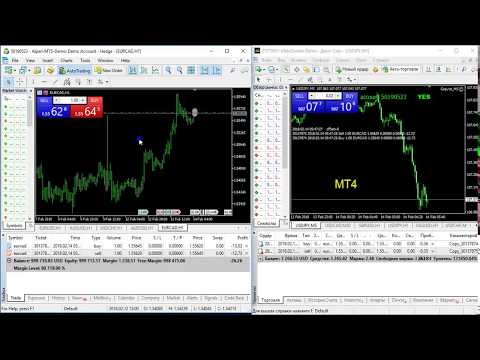 Video Copyist MS MT5