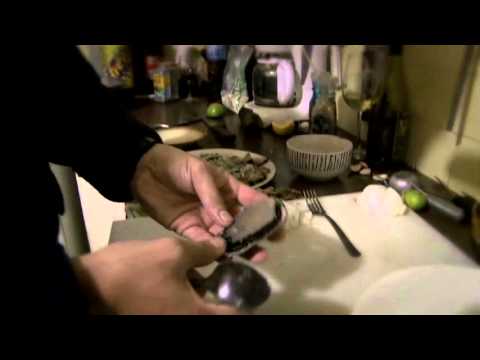 download lagu mp3 mp4 International Film School Of San Antonio De Los Baos, download lagu International Film School Of San Antonio De Los Baos gratis, unduh video klip International Film School Of San Antonio De Los Baos