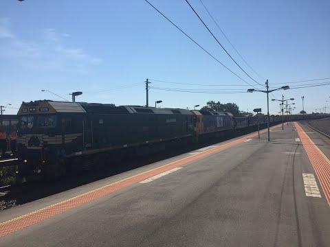 4CK5 - G539-BL30 (Grain) North Shore - Australian Trains by Raysha1811