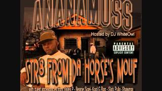 DJ WhiteOwl Ananamuss 