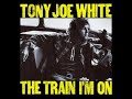 Tony Joe White  The Train I'm On