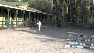 I AM THE ALPHA PART 2 SEGMENT ll