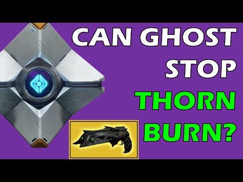Destiny: Can Ghost Stop Thorn Burn? Destiny Mythbuster