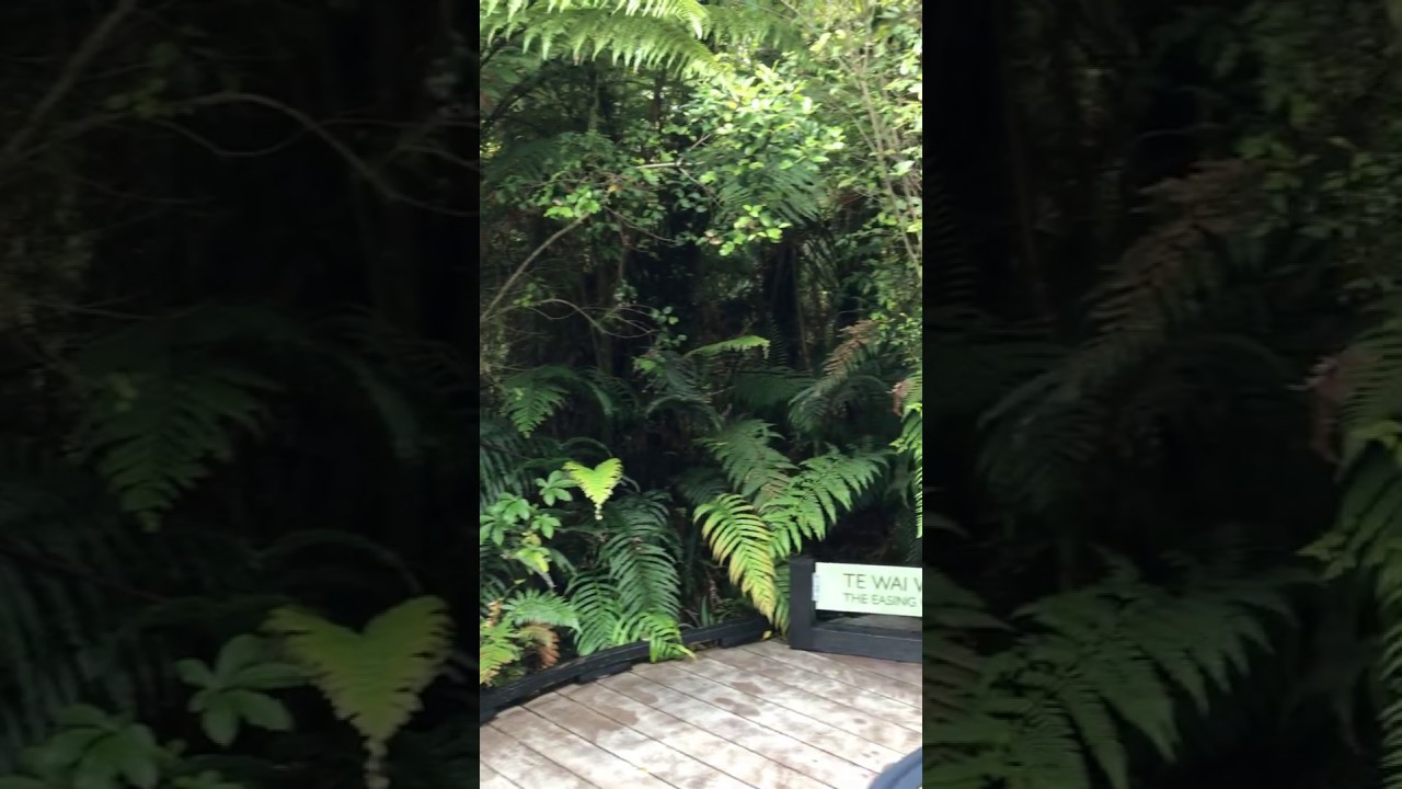 YouTube Short thumbnail