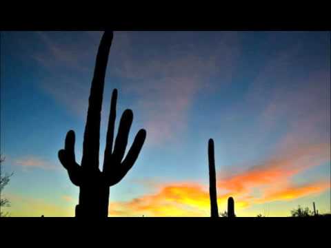 Ron & Fez - Tim's Place (Breakfast, Lunch & Hugs)