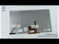 6.5"AUO A065VL01 V2 TFT-LCD Screen Display