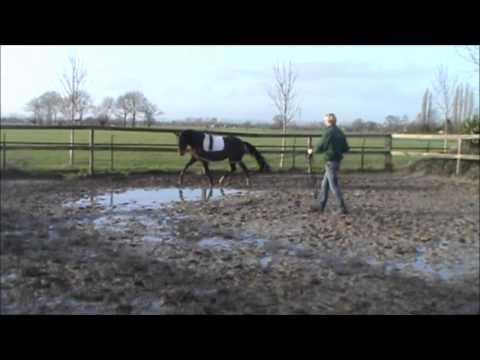 mare anydale martien