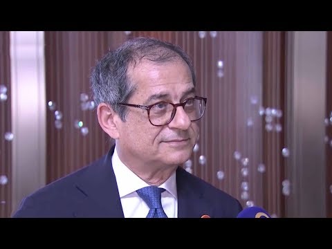 Italian Minister: Belt & Road Initiative to drive China-Italy ties