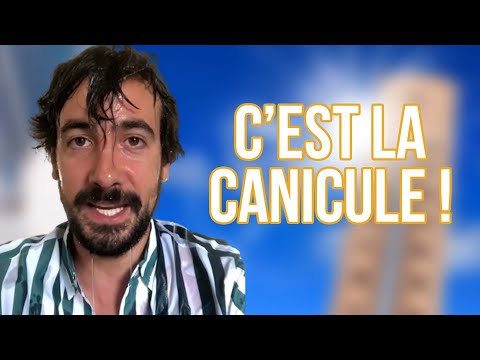 C'EST LA CANICULE ! - MAXIME GASTEUIL
