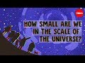 How Small Are We In The Scale Of The Universe Alex Hofeldt