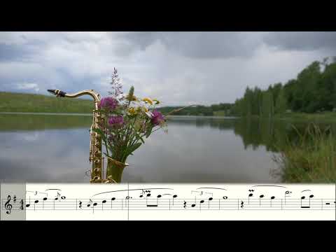 Leventina ft. Syntheticsax - Here Working (Dinka Remix) Sheet music for Saxophone alto