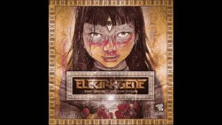 Electric Gene - The Secret Of The Druid (Original Mix)