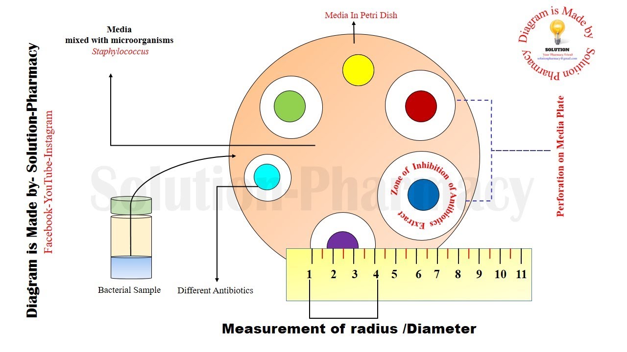 Microbial Assay of Antibiotics | Cup Plate Method of Microbial Assay | Microbial Assay of Antibiotic