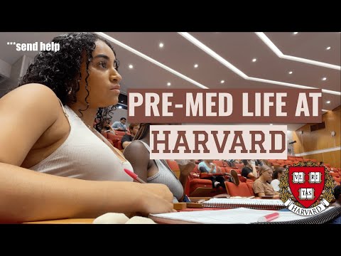 realistic PREMED life at HARVARD *it sucks* | mayalauren