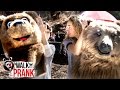 Bear Safety Walk The Prank Disney XD