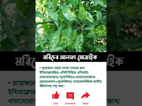 agro reels1 #agriculture #green1 #greenone #farming #smartagro #garden