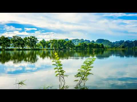 Clearday / music track / Enjoy your day