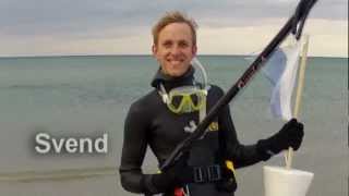 Spearfishing Bonnerup, Denmark