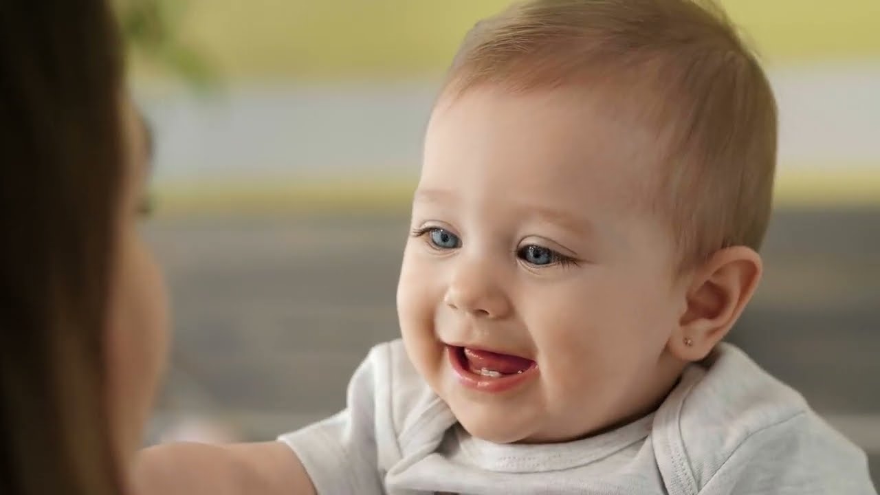 Laboratório Sani | Resumo 2024