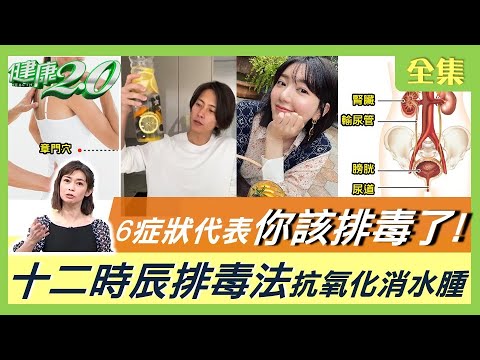 6代表什麼