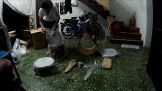 Video thumbnail for Unboxing Gretsch Catalina Club Street by Mamo94drum