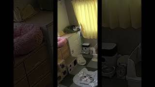 自動給餌器からご飯が出る瞬間を待ち構える職人技の犬 / 家電と動物たち のサムネイル