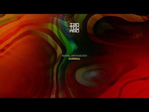 Kemal Vatansever - System // IAMT