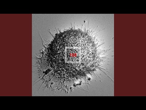 100 (feat.Nochang) (100 (FEAT.천재노창))