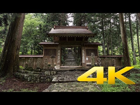 Seiyo Ryutakuji Temple - Ehime - 龍澤寺 -  4K Ultra HD