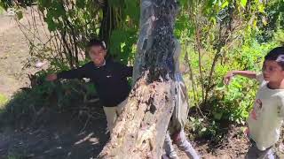 New vloge _with small brothers/ mella ranaputli#😀🫶🤭😄🤭❤️🫶❤️❤️❤️❣️😀😀🤭