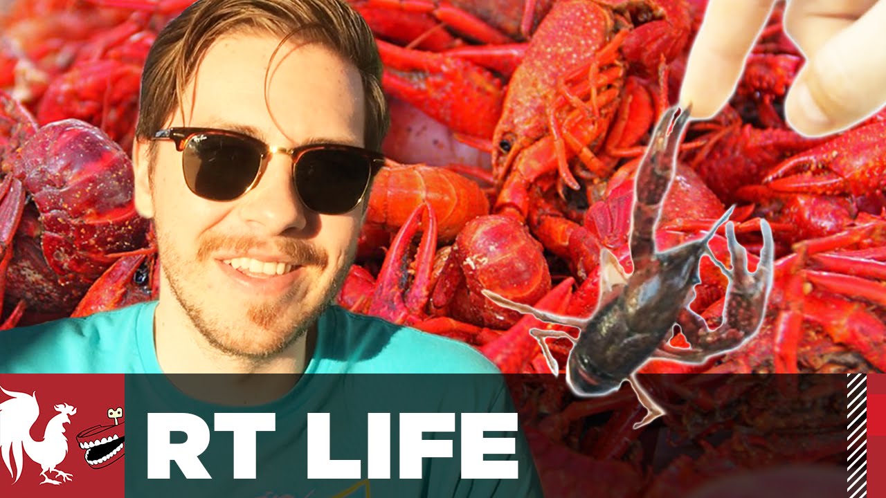 RT Life - Not Poop -RT Life