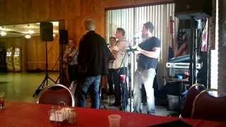 preview picture of video 'Justin Greenwald sings Dunave, Dunave with reunited Otrov Band'