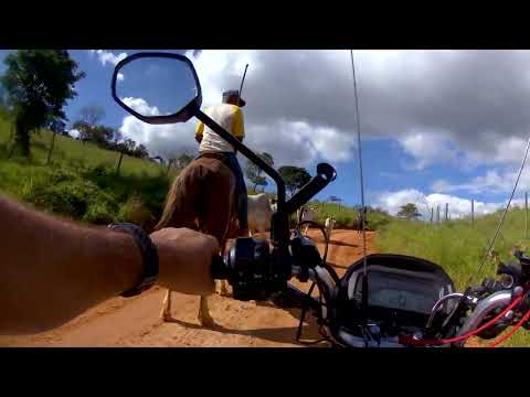 Estrada que liga bandeira de minas a cidade de mata verde 