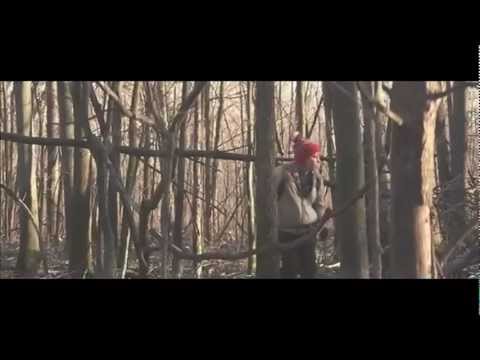 DAVID GUETTA  SIA  DjPOLYRASTA - T I T A N I U M