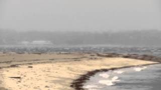 preview picture of video 'Storm Surge Sandy West Haven CT 12 hours to go 8am 10/29/12'