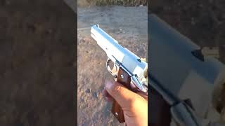 Gun Status 32 Bore Pistol Revolver