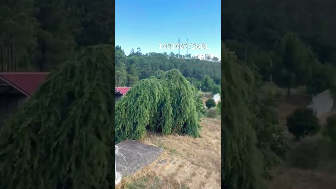Vídeo do imóvel