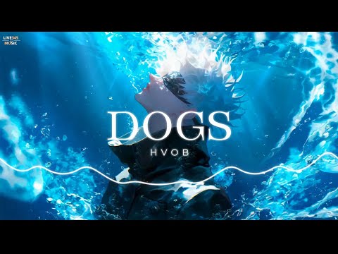 HVOB - Dogs 'Lyrics' (Remix Tiktok DJ抖音版) - LIVE345MUSIC