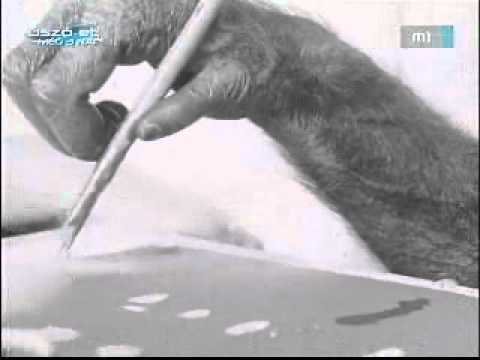 Böbe a csoda csimpánz, Böbe the intelligent chimpanzee as painter