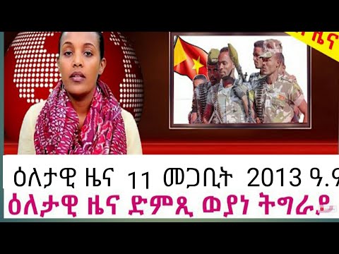 ዕለታዊ ዜና ድምፂ ወያኔ DW international 11 መጋቢት 2013 ዓ.ም