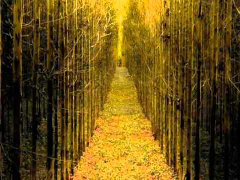 SWEET DESTINY  ©2012 GandharvaMusic LZWG  GM AVP