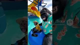 Australia here we come! #australia #vlog #trending #funny #cruise